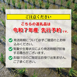 米 新米 こしいぶき 20kg 【令和7年産 新米 先行予約】 新潟県 新発田市 toushin040