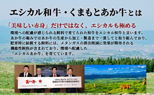 くまもとあか牛 モモ薄切り 600g