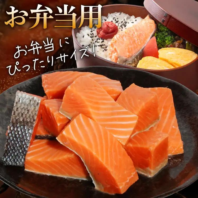 訳あり 無添加 サーモン 【お弁当用】 切身 骨取り 無塩 1.5kg バラ入れ 大袋 
