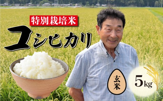 【玄米】 特別栽培米 コシヒカリ 5kg 新潟 米 玄米 新潟県 こめ ご飯 ごはん おいしい こしひかり 新発田 新発田産 新潟産 朝食 昼食 夕飯 炊きたて success005_2025