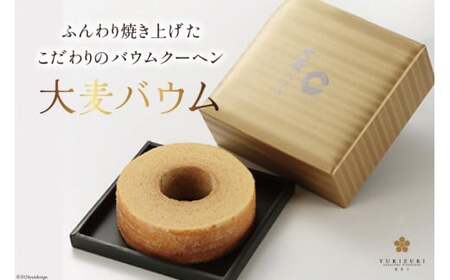 バームクーヘン 大麦バウム Sサイズ 1箱
