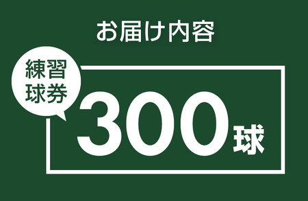 鐘山ゴルフセンター練習球券（300球券）