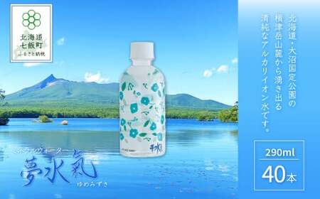 天然アルカリイオン水 軟水 ミネラルウォーター夢水氣（290ml×40本） 【 ふるさと納税 人気 おすすめ ランキング 天然アルカリイオン水 天然水 ミネラルウォーター 横津岳山麓 】 NAL002 | ﾐﾈﾗﾙｳｫｰﾀｰ ｲｵﾝ ﾐﾈﾗﾙｳｫｰﾀｰ ｲｵﾝ ﾐﾈﾗﾙｳｫｰﾀｰ ｲｵﾝ ﾐﾈﾗﾙｳｫｰﾀｰ ｲｵﾝ ﾐﾈﾗﾙｳｫｰﾀｰ ｲｵﾝ ﾐﾈﾗﾙｳｫｰﾀｰ ｲｵﾝ ﾐﾈﾗﾙｳｫｰﾀｰ ｲｵﾝ ﾐﾈﾗﾙｳｫｰﾀｰ ｲｵﾝ ﾐﾈﾗﾙｳｫｰﾀｰ ｲｵﾝ ﾐﾈﾗﾙｳｫｰﾀｰ ｲｵﾝ ﾐﾈﾗﾙｳｫｰﾀｰ ｲｵﾝ