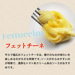 こまち麺パスタ フェットチーネ 250g 10袋セット[B05-15501]
