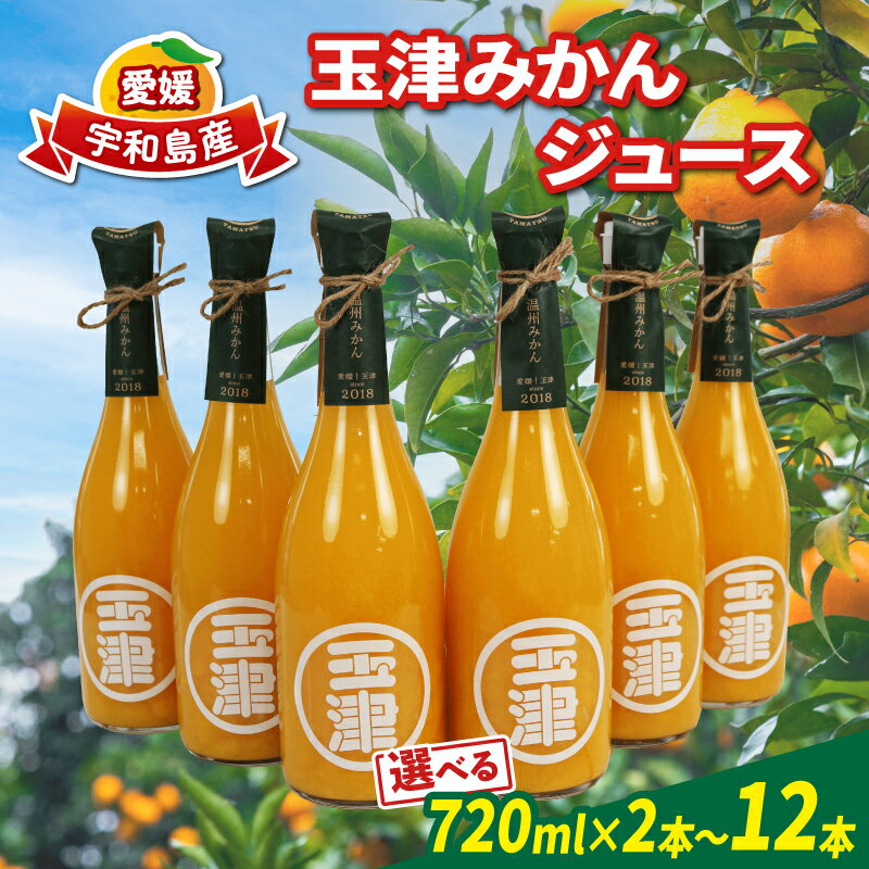 【ふるさと納税】 玉津 みかんジュース 温州みかん 選べる 容量 720ml × 2 ～ 12本 玉津柑橘倶楽部 先行予約 100％ジュース ストレートジュース ジュース 愛媛みかん 愛媛蜜柑 愛媛ミカン うんしゅう 果物 フルーツ 柑橘 蜜柑 産地直送 数量限定 国産 愛媛 宇和島