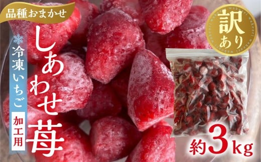 【2026年5月より発送】 《 業務用の大袋 》 加工向きな 冷凍いちご 品種おまかせ 3kg 簡易梱包 サイズ 不揃い のため 訳あり 訳アリ フルーツ 果物 苺 いちご イチゴ 紅ほっぺ よつぼし かおり野 アイス ヨーグルト シャーベット 苺 family農園watanabe 子ども 家庭用 業務 加工向け 国産 産地直送 岐阜県 本巣市 15000円  [mt1562]
