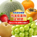 【ふるさと納税】【年6回定期便】熊本県果物定期便～採れたて旬の果物をお届け！～ 定期便 定期配送 全6回 くだもの 果物 フルーツ 旬 メロン マスカット 梨 太秋柿 河内みかん ゆうべに 熊本県産 九州 熊本県 送料無料
