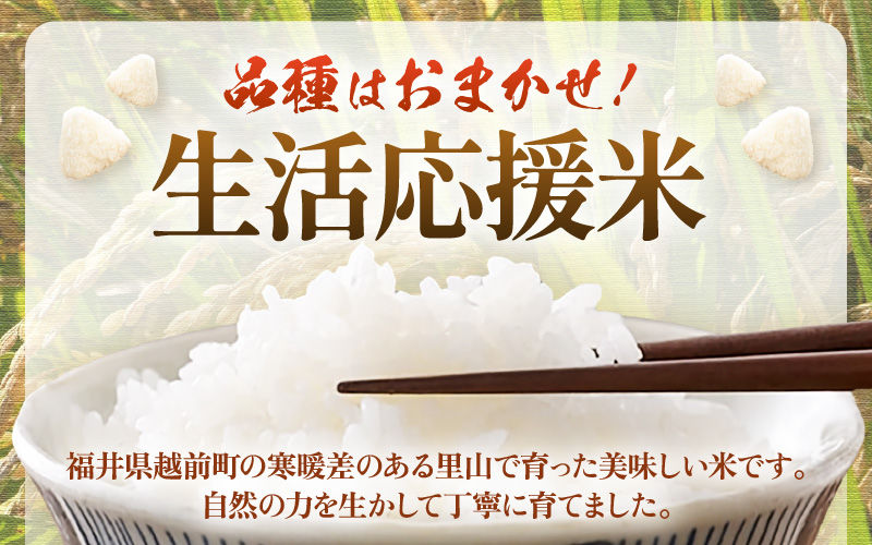 【先行予約】令和8年産 生活応援米 5kg 福井県越前町産 【白米】【お米 コメ kome 5キロ 家庭用 白米】【2026年10月中旬以降順次発送】 [e81-a004_01]
