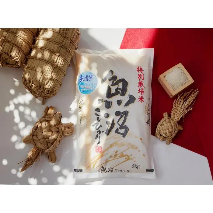 令和8年産　無洗米　魚沼産コシヒカリ特別栽培米　5kg×2