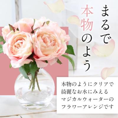 ふるさと納税 名古屋市 魔法の水　オールドローズ　マジカルウォーター(ミスティローズ) |  | 01