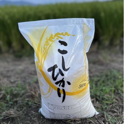 ふるさと納税 五泉市 【令和7年産米】新潟県産コシヒカリ　5kg