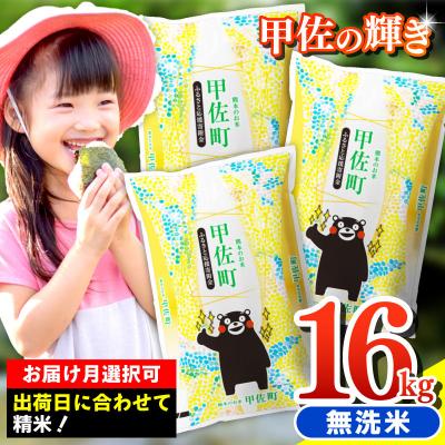 ふるさと納税 甲佐町 令和7年産『甲佐の輝き』無洗米16kg【配送指定可】【ZQ】