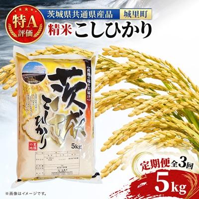 ふるさと納税 水戸市 【毎月定期便】特A評価 茨城県産 お米 コシヒカリ 定期便 (5kg×3回) 茨城県の 米 全3回