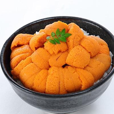 ふるさと納税 根室市 エゾバフンウニ塩水パック80〜90g×2P B-24016