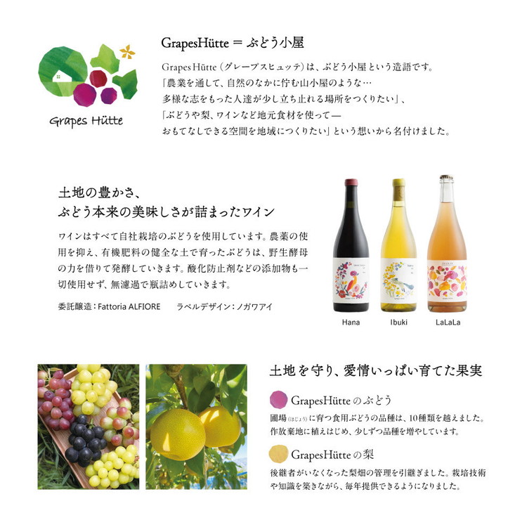 【先行受付】会津の美味しい梨 幸水 約3kg（5玉～6玉） ◇｜ 期間限定 梨 なし ナシ 果物 フルーツ 甘い ジューシー 果実 くだもの 国産 果実 会津美里町産 ※2025年8月下旬～9月上旬頃