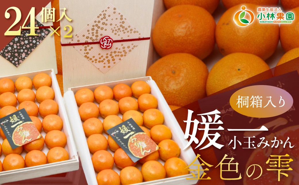 
                  【先行受付】桐箱入り 媛一小玉みかん 金色の雫(こんじきのしずく)24個入り箱×二段重ね【D24-6】 YWTAD003
                