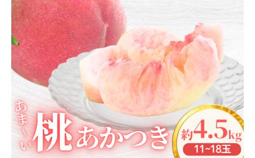 アグリスタくましろのあまーい桃『あかつき』約4.5kg　＜2026年7月中旬～7月下旬発送予定＞