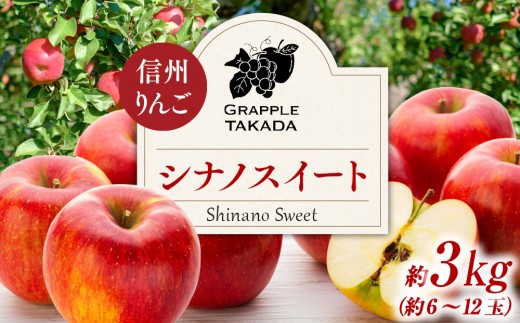 信州りんご シナノスイート 3kg ※クレジット決済限定 りんご リンゴ 林檎 長野 フルーツ 果物 信州産 長野県産 特産 産地直送 おすすめ　[№5675-1076]