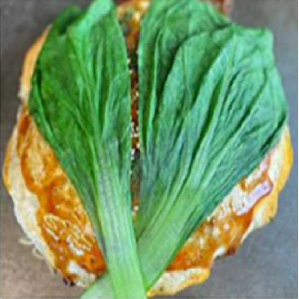 【ふるさと納税】広島迷彩（名菜）焼き（うどん）　2枚セット　