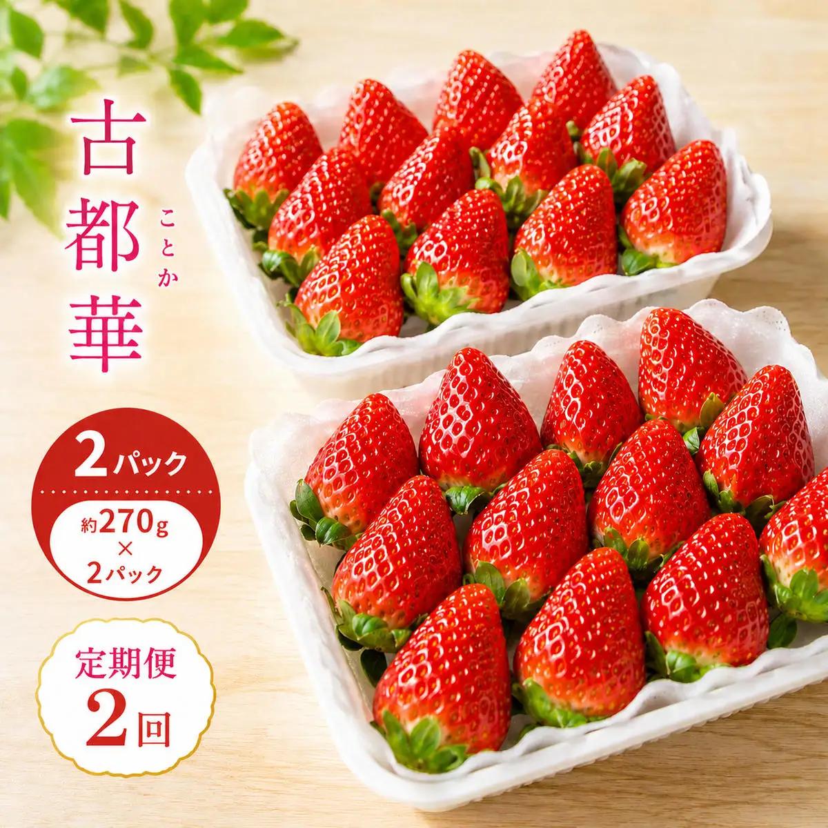 いちご 古都華 奈良県産 いちご【約270g×2パック】【冷蔵】【2回定期便 先行予約】
