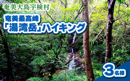 奄美最高峰「湯湾岳」ハイキング 体験 3名様 奄美大島 宇検村 鹿児島県 旅行 自然 冒険 完全プライベート