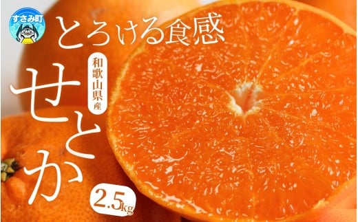 【先行予約】 柑橘の大トロ せとか とろける食感 ジューシー柑橘 約2.5kg  ※2026年2月上旬頃～2026年2月下旬頃順次発送予定 / みかん 蜜柑 柑橘 オレンジ 果物 フルーツ 国産 和歌山 有田みかん【uot789A】