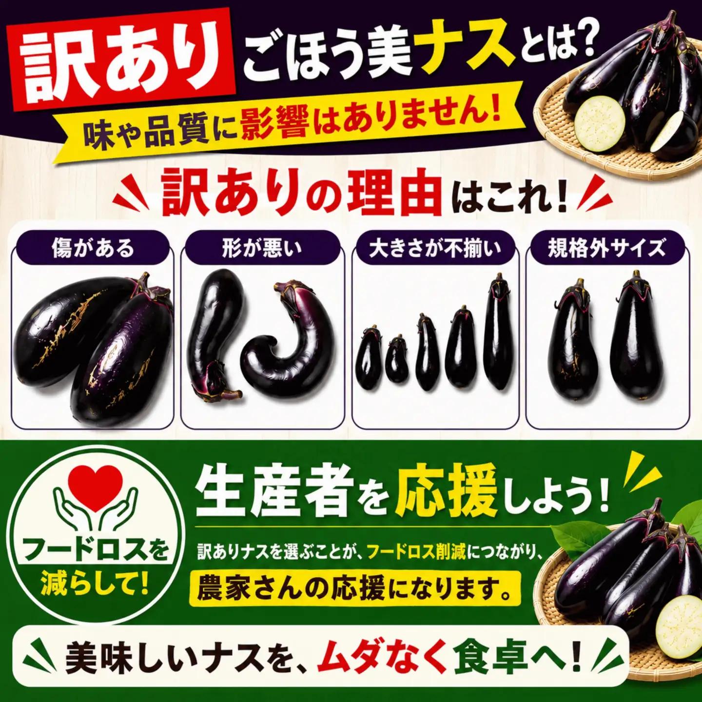 農家さん応援！訳ありごほう美ナス 約5kg
