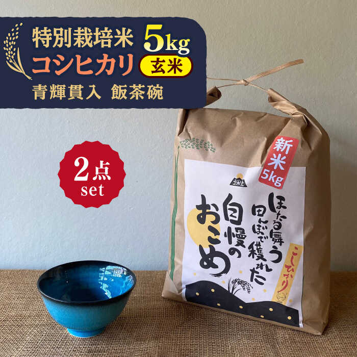 【ふるさと納税】【令和7年産】 玄米 コシヒカリ 特別栽培米 （5kg） + 【美濃焼】 青輝貫入 飯茶碗 多治見市 / 山松加藤松治郎商店 [TEU036]