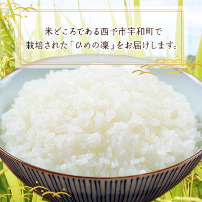 ふるさと納税 西予市 愛媛県推進米　ひめの凛　10kg(5kg×2) |  | 01