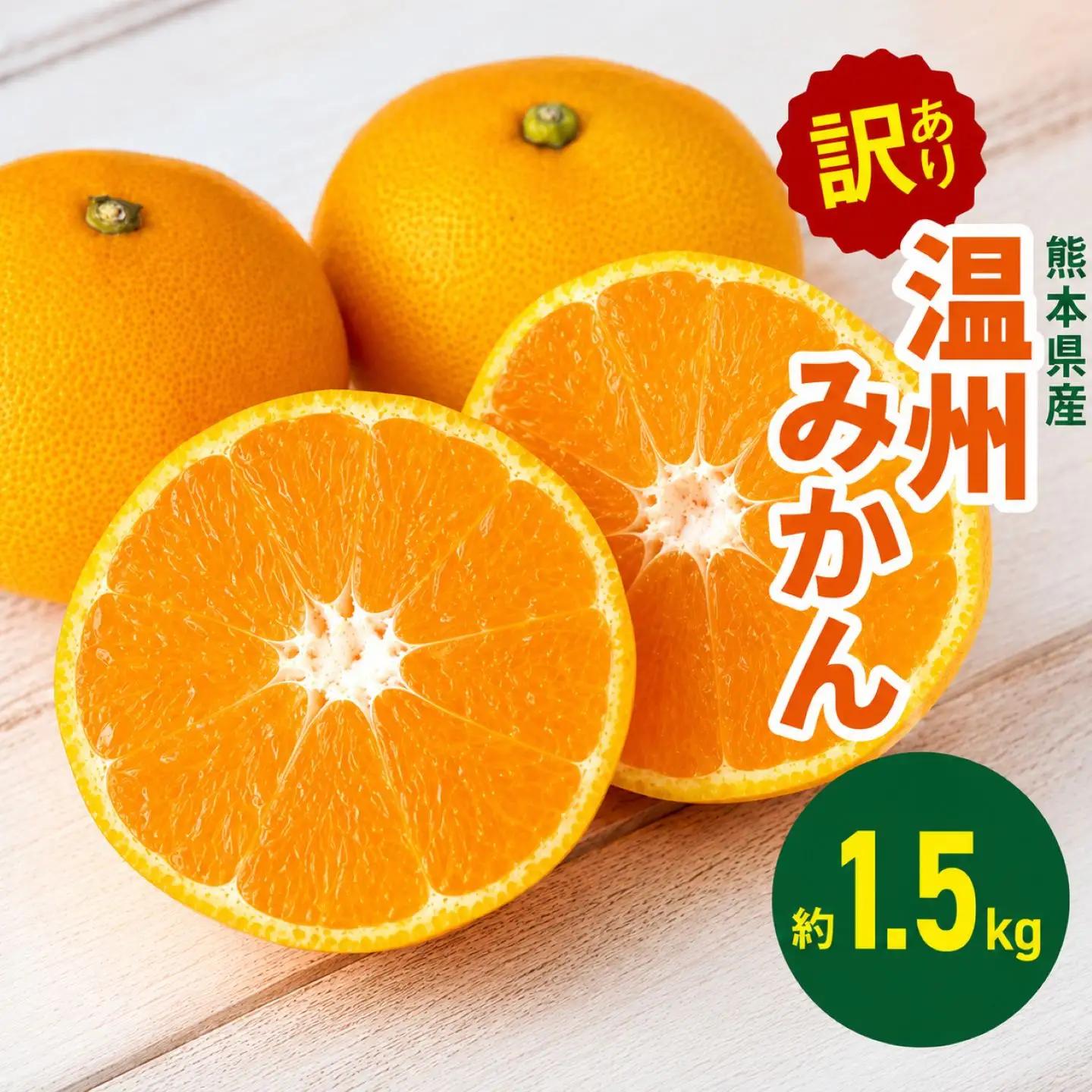 訳あり 熊本県産 温州みかん 約 1.5kg