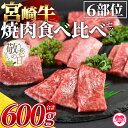 【ふるさと納税】＜3D冷凍宮崎牛焼肉食べ比べセット＞6部位 食べ比べ 焼肉 (合計600g) 肩ロース バラ モモ ウデ ロース ヒレ 牛肉 国産 九州産 焼肉 BBQ 焼き肉 鍋 贈答用 誕生日 プレゼント お中元 御中元 のし付き 熨斗 熨斗対応 のし対応 贈り物 【MI089-my】【ミヤチク】