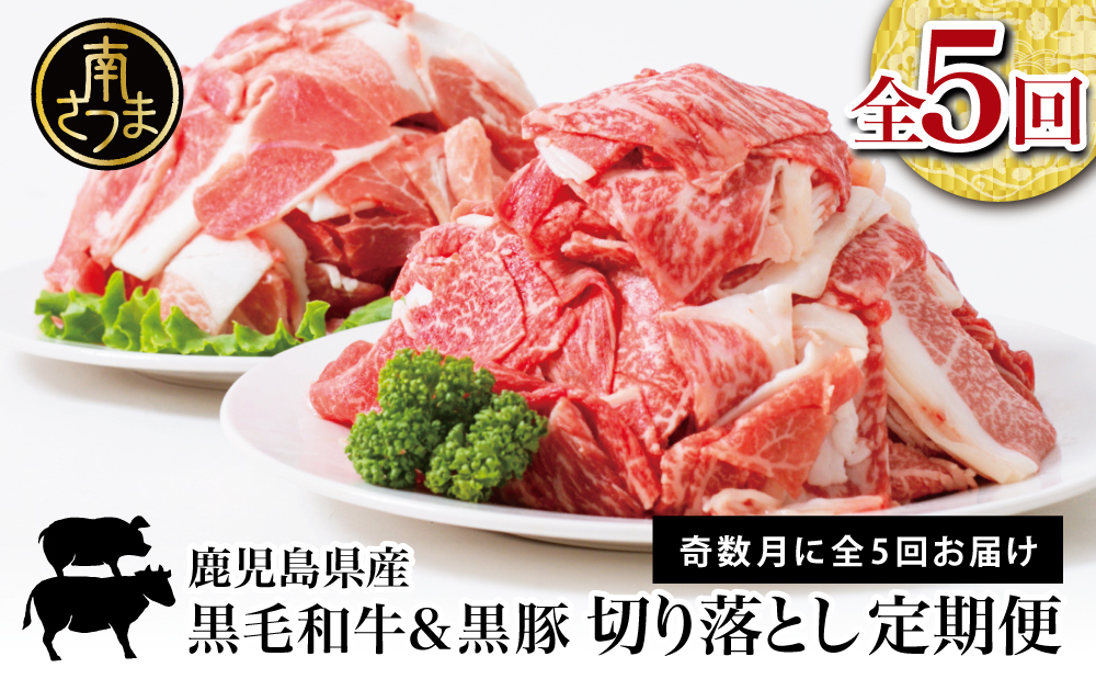 【モリモリ定期便】鹿児島県産 黒毛和牛＆黒豚 切落し定期便（全5回） 牛肉 豚肉 牛丼 肉じゃが カレー 炒め物 コマ切れ 細切れ 切り落とし 国産 お肉 定期便 冷凍 小分け スターゼン
