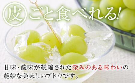 【先行予約】A 2025  シャインマスカット　２房～３房　約1キロ 【10月中旬頃～順次発送予定】長野県産 　国際特許有機肥料栽培