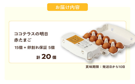 ココテラスの明日（赤たまご）15個 + 5個保証（計20個）