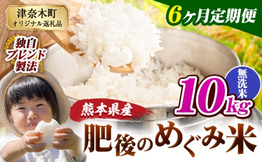 【6ヶ月定期便】無洗米 熊本県産 ブレンド米 肥後のめぐみ米 10kg 熊本県産 ふるさと納税 精米 米 こめ ふるさとのうぜい コメ お米 おこめ《お申込み翌月から出荷》