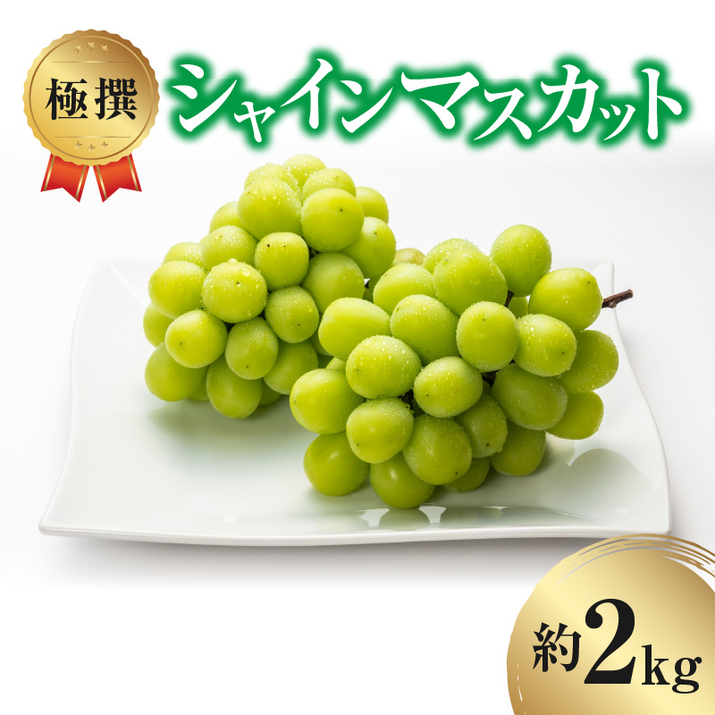 M102-0013_極撰!シャインマスカット(約2kg)