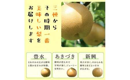 FKP9-684 【先行予約】一勝地梨 約5kg