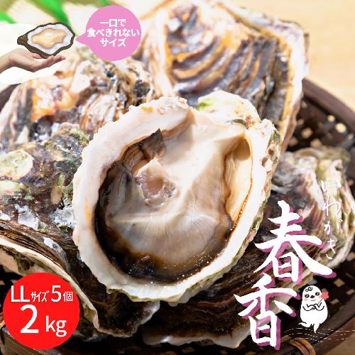 【旨味そのまま！】海士のいわがき殻付きLLサイズ×5個（2kg～2.5kg）◆ナイフ付き