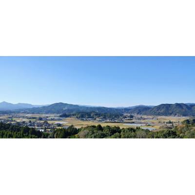 ふるさと納税 伊万里市 令和7年 伊万里産 鶴田農園の「さがびより」10kg |  | 02