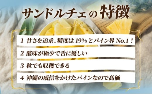 【先行予約】《2025年夏季 順次発送》サンドルチェ大玉2～3個 計2.4kg【 産地直送 沖縄 石垣 フルーツ パイナップル パイン サンドルチェ 】SI-41