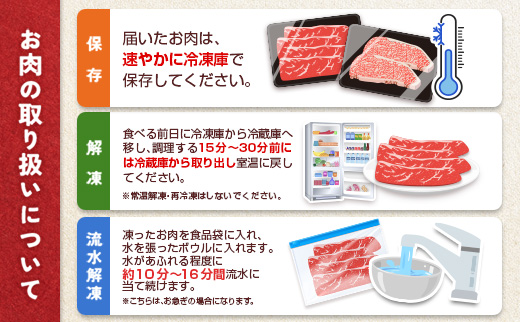 ［10日以内出荷！スピード便！］ 宮崎牛 ウデスライス 500g 牛肉 肉質等級4等級 国産【B531-10D】
