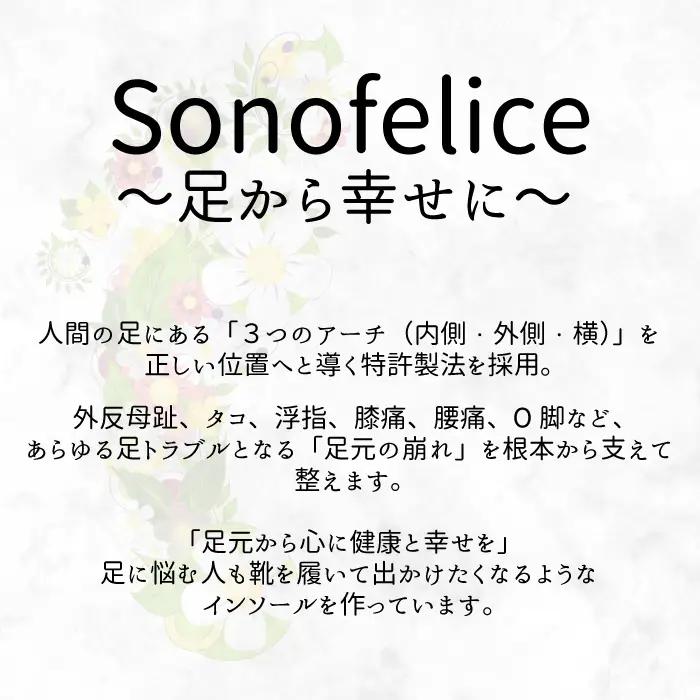 パンプス用インソール（M/Normal） パンプス ヒール 靴 中敷き 土踏まず 外反母趾 偏平足 腰痛 膝痛 O脚 浮指 ウオノメ レディース 広島県三原市 135002
