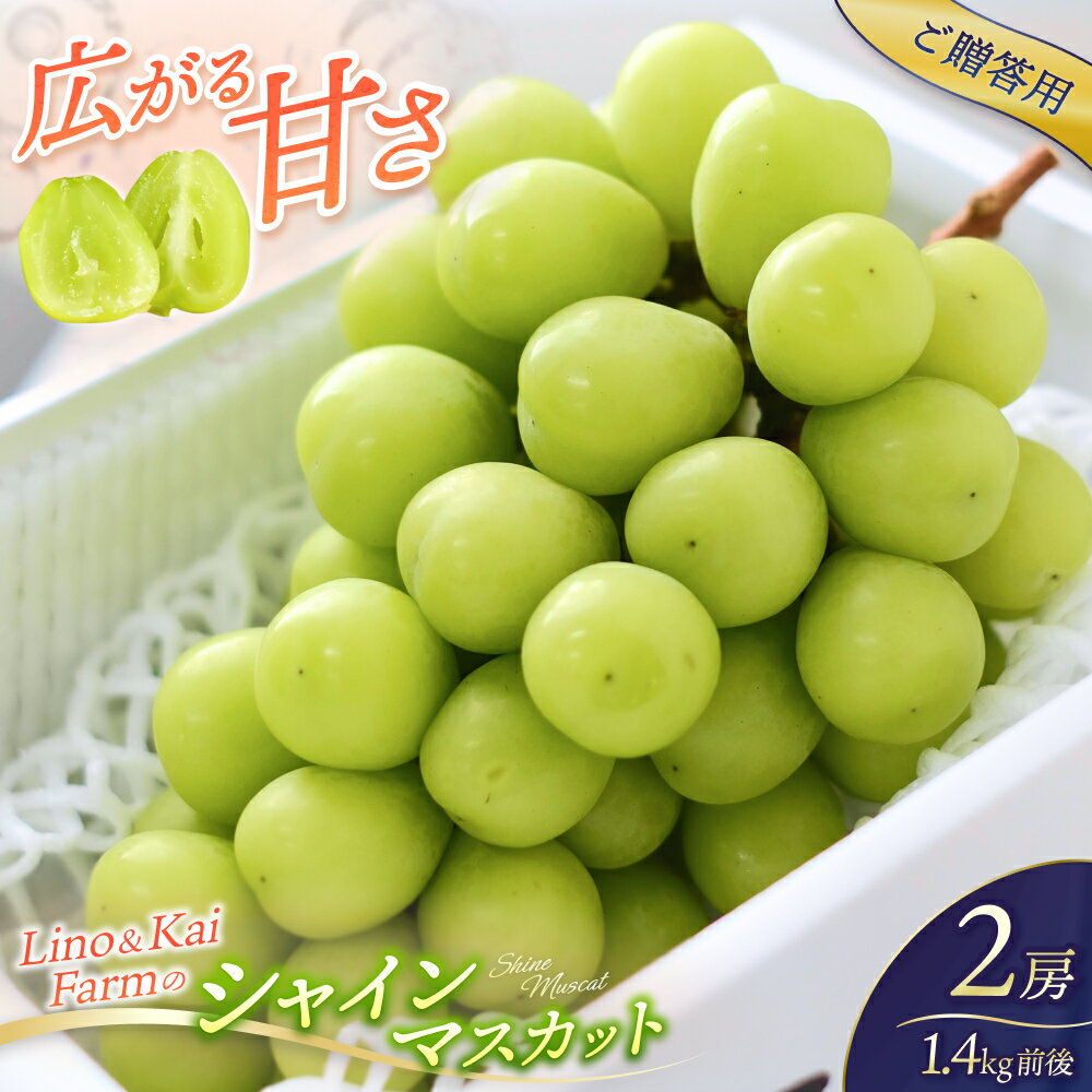 【ふるさと納税】【ご贈答用】岡山の シャインマスカット 2房 （1.4kg前後）化粧箱入 Lino＆Kai Farm 2025年10月上旬～順次発送 / ぶどう 岡山 真庭 マスカット 高級 ギフト 贈答 人気 産地直送 数量限定 種なし 某産直サイトで連続受賞【linokai010】