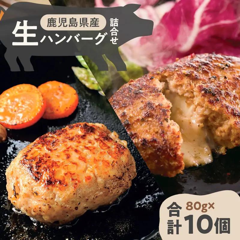 鹿児島県産 黒豚 生ハンバーグ 詰合せ K356-005 肉 豚肉 惣菜 総菜 冷凍