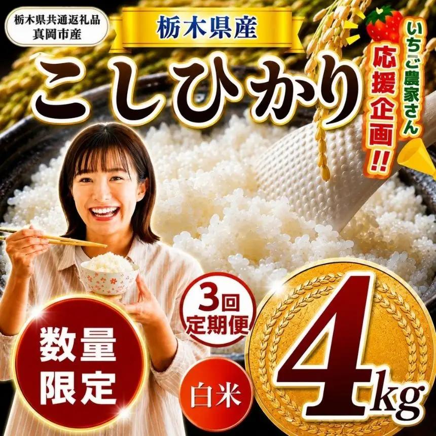 先行予約 【定期３回】令和8年度産 栃木県産 コシヒカリ 4kg |【栃木県共通返礼品】