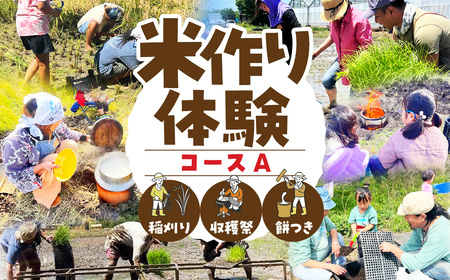 米作り体験コースＡ（稲刈り、収穫祭、餅つき） 米作り 手作業 無農薬 体験 お米 米 親子 イベント 自然 自然体験
