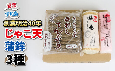 じゃこ天 蒲鉾 3種 セット じゃこ天 10枚 揚巻 1本 紅かまぼこ 1本 野中かまぼこ店 り身 練り物 さつま揚げ かまぼこ 揚げかまぼこ 天ぷら おかず 冷蔵 フライ おでん だし 小分け 郷土料理 酒 おつまみ 肴 特産品 お中元 国産 愛媛 宇和島 C015-014002