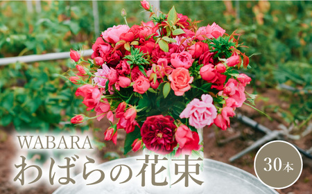 わばらの花束30本 Rose Farm KEIJI ローズファームケイジ Rose Farm KEIJI  WABARA プレゼント 記念日 誕生日  國枝啓司 