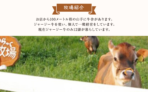 ジャージー牧場らいらっくチーズケーキ【ふわふわカマン】チーズ ケーキ カマンベールチーズ スフレチーズケーキ 兵庫県 朝来市 AS2AB1