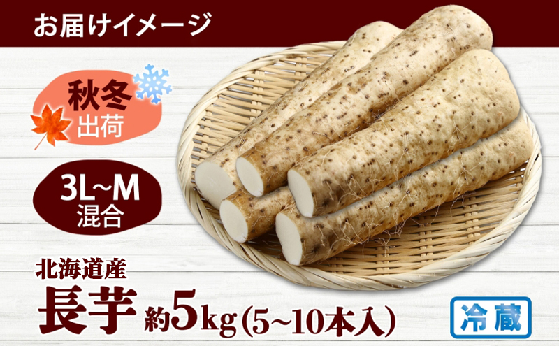 北海道産 長いも 秋冬出荷 約5kg 2025年11月中旬～2026年3月下旬お届け 長芋 ながいも とろろ 農作物 野菜 新鮮 根菜 新物 山かけ 産地直送 お取り寄せ 送料無料 冷蔵 北海道 洞爺